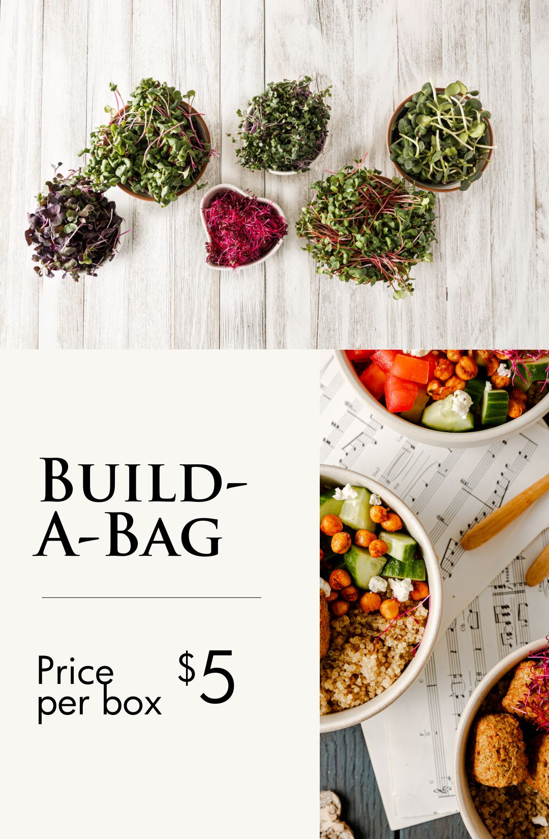 Hunters’ Dale Build-A-Bag Microgreen Subscriptions, Fraser Valley, Mission BC, Chilliwack BC, Abbotsford BC