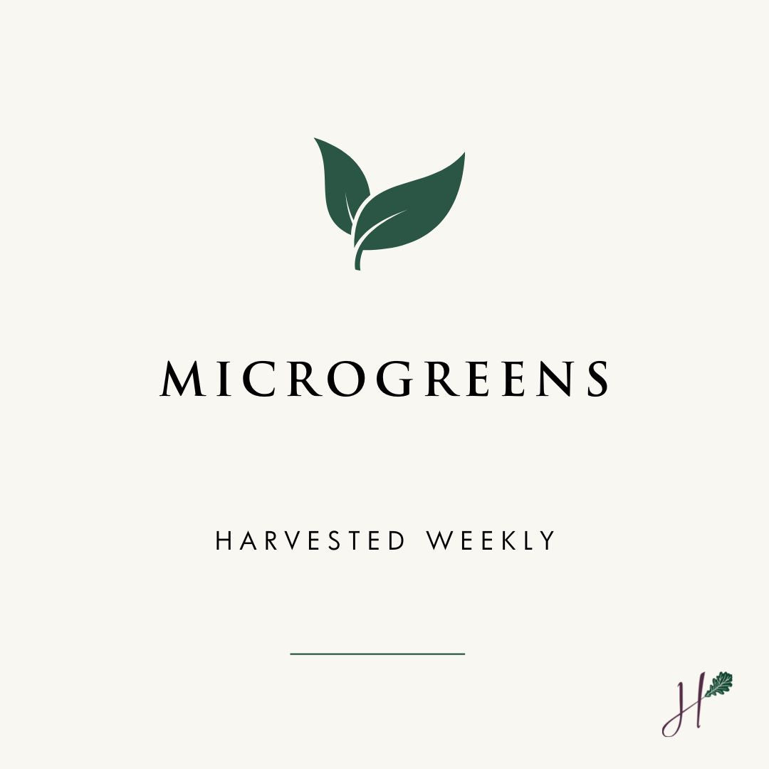 Hunters' Dale Microgreens, Harvested Weekly.