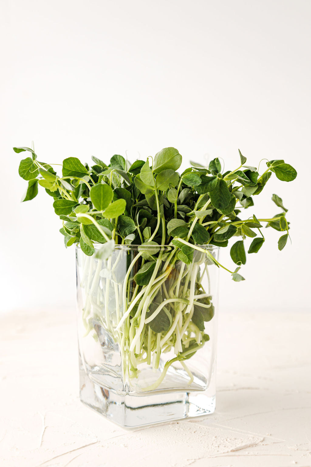 Pea Shoots 90g/Box - Hunters’ Dale