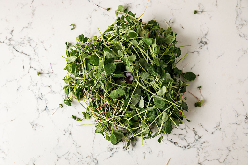 Hunters&#39; Dale Microgreen Salad Fraser Valley