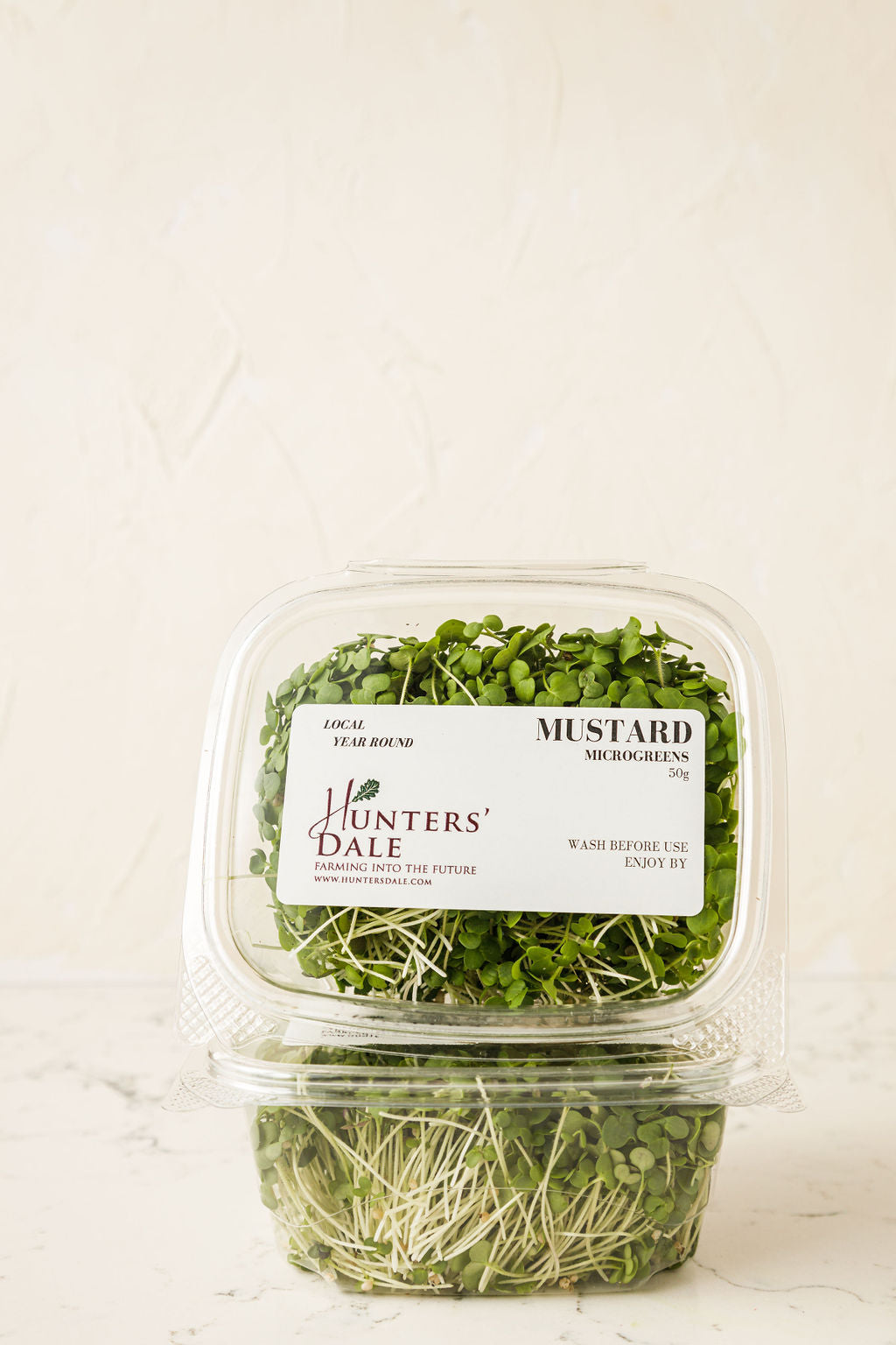 Hunters' Dale Mustard Microgreens