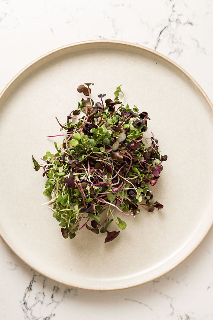 Spicy Mix Microgreens 50g/box - Hunters’ Dale