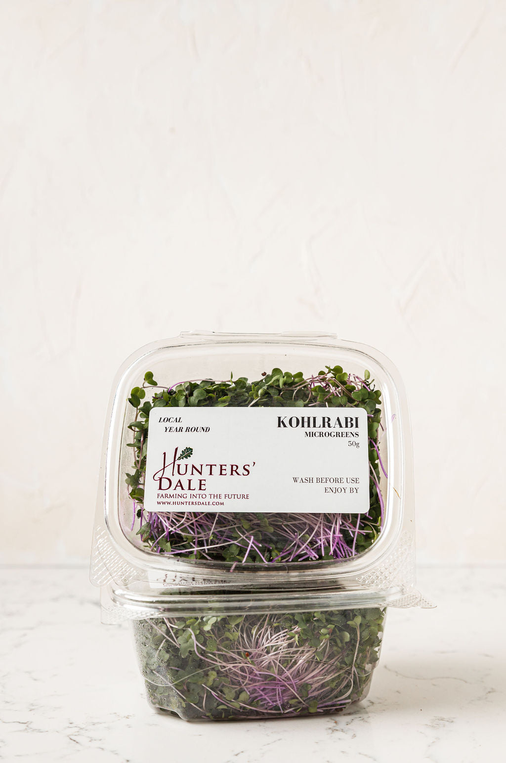Hunters' Dale Kohlrabi Microgreens, Fraser Valley BC