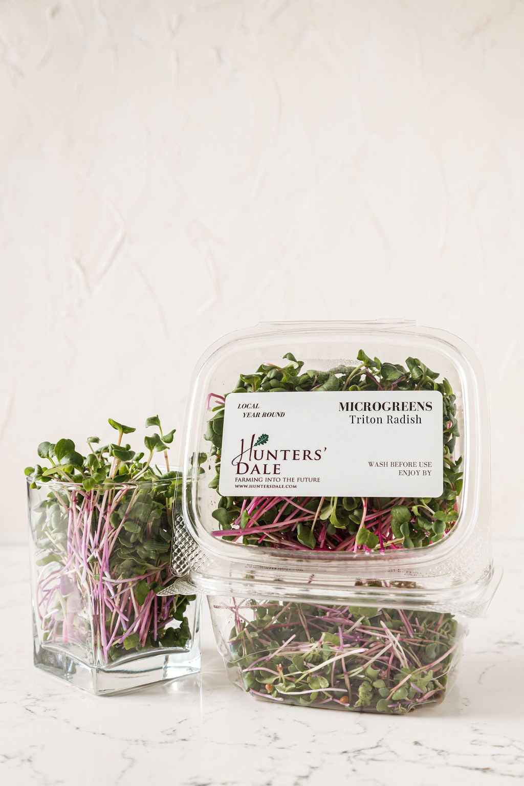 Triton Stem Radish Microgreens 50g/box - Hunters’ Dale
