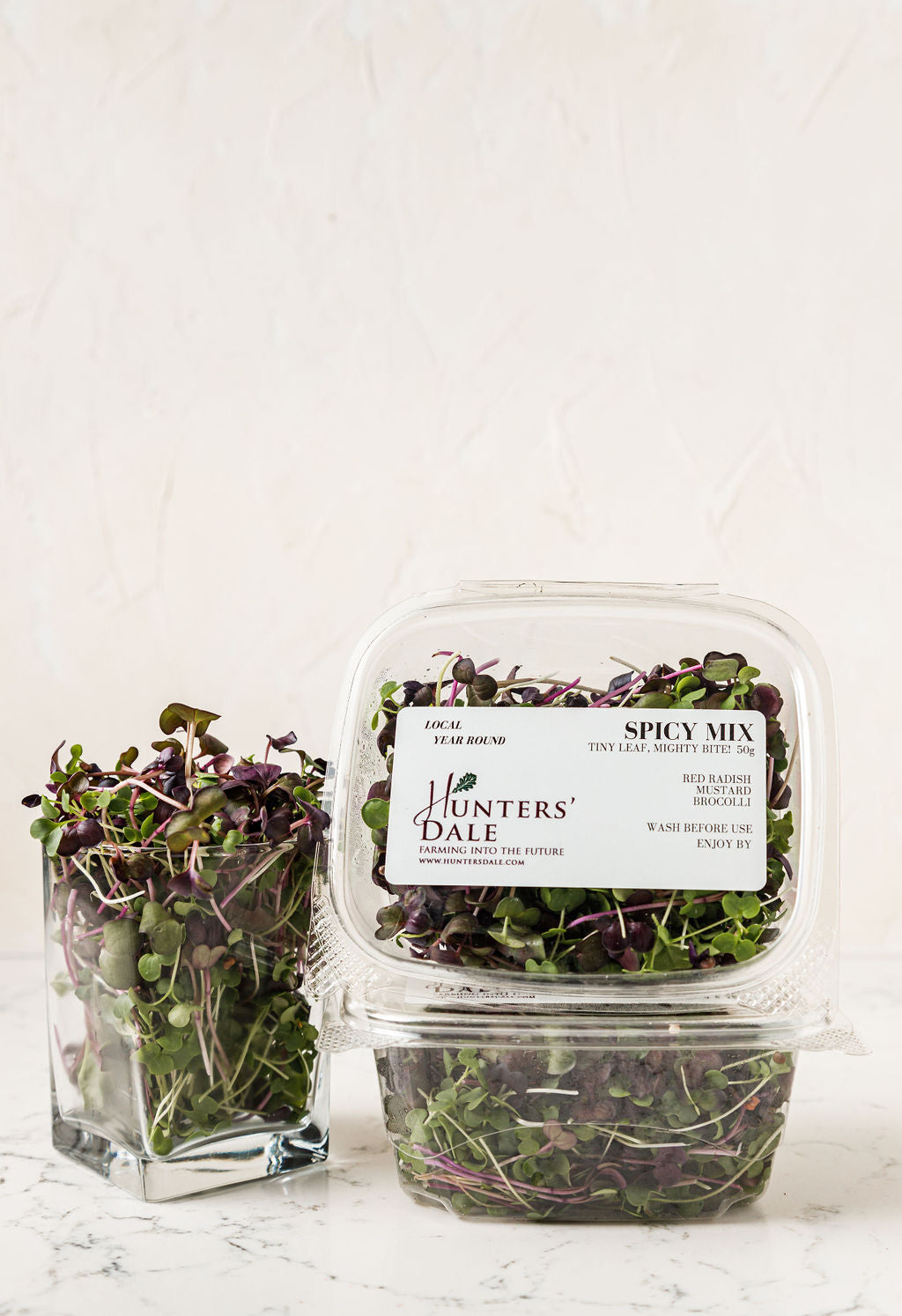 Hunters' Dale Spicy Mix Microgreens, Healthy, SuperFood.