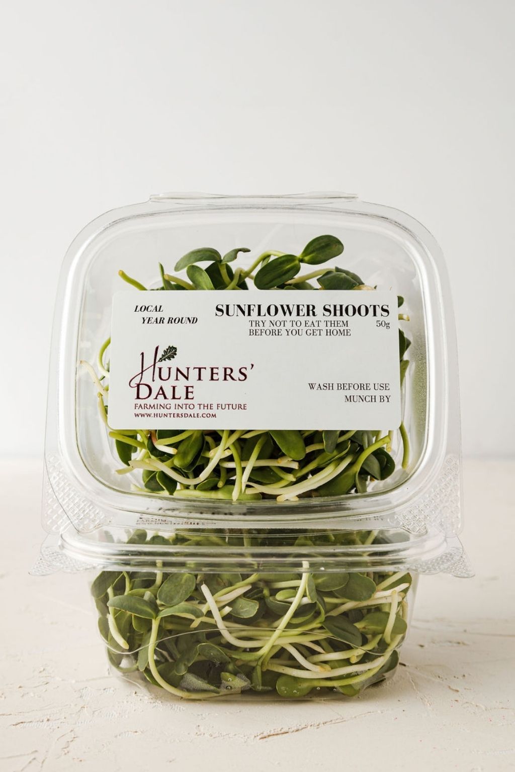 Sunflower Shoots 50g/Box - Hunters’ Dale
